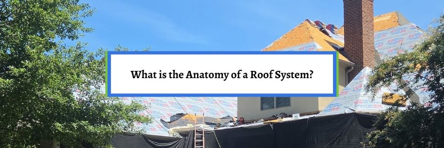 What is the Anatomy of a Roof System?