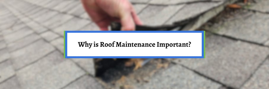 Why is Roof Maintenance Important?